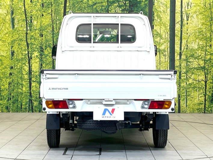 2014 Mitsubishi Mini Cab Truck GBD-U61T (UW-69f6bcfdc750a)[19]