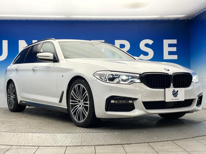2018 BMW 5 Series DBA-JL10 (UW-69f6bd0aabea2)[18]