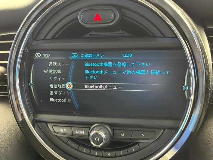 2016 Rover Mini LDA-XT15 (UW-69f6bd1061b78)[10]
