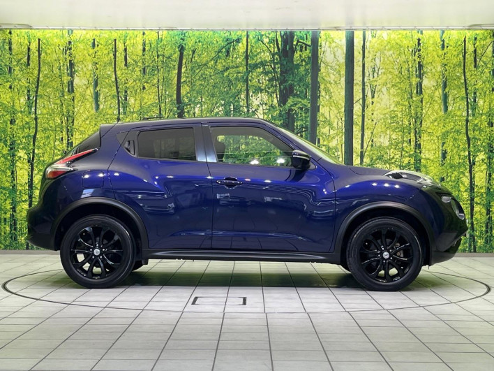 2016 Nissan JUKE DBA-YF15 (UW-69f6bd12b4b0c)[10]