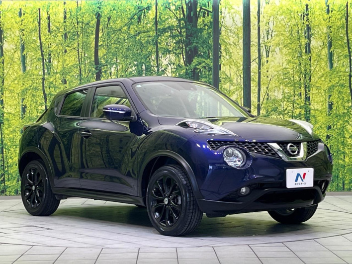 2016 Nissan JUKE DBA-YF15 (UW-69f6bd12b4b0c)[11]