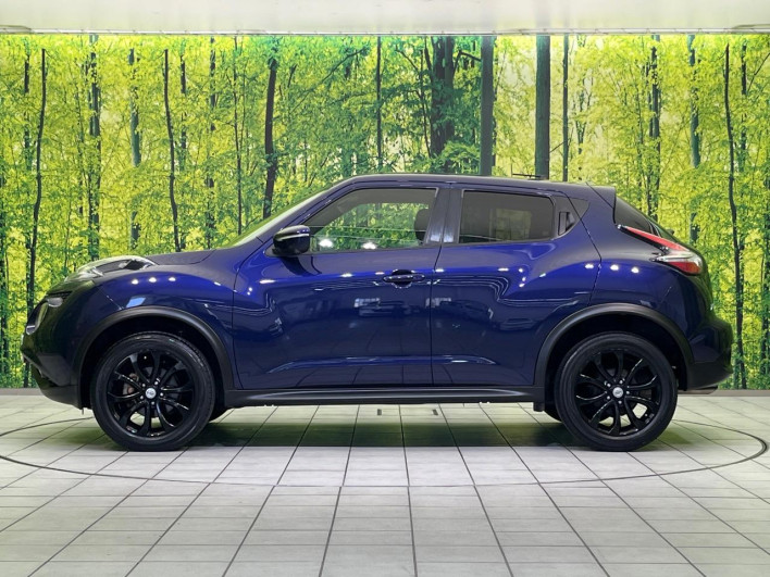 2016 Nissan JUKE DBA-YF15 (UW-69f6bd12b4b0c)[6]