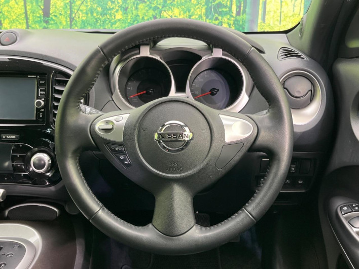 2016 Nissan JUKE DBA-YF15 (UW-69f6bd12b4b0c)[28]