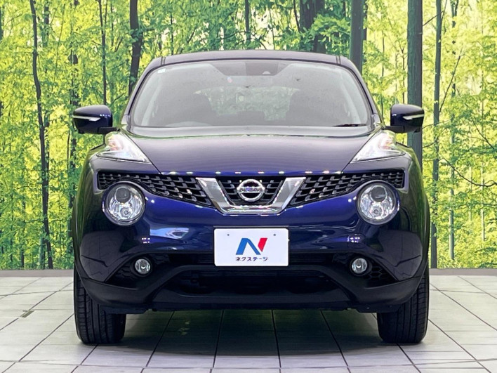 2016 Nissan JUKE DBA-YF15 (UW-69f6bd12b4b0c)[12]