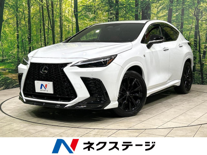 2022 Lexus NX 6AA-AAZH20 (UW-69f80cd32be26)[3]