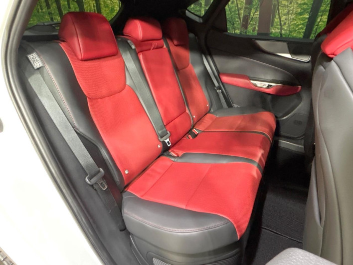 2022 Lexus NX 6AA-AAZH20 (UW-69f80cd32be26)[28]
