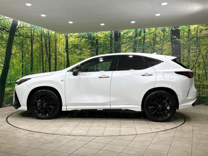 2022 Lexus NX 6AA-AAZH20 (UW-69f80cd32be26)[11]