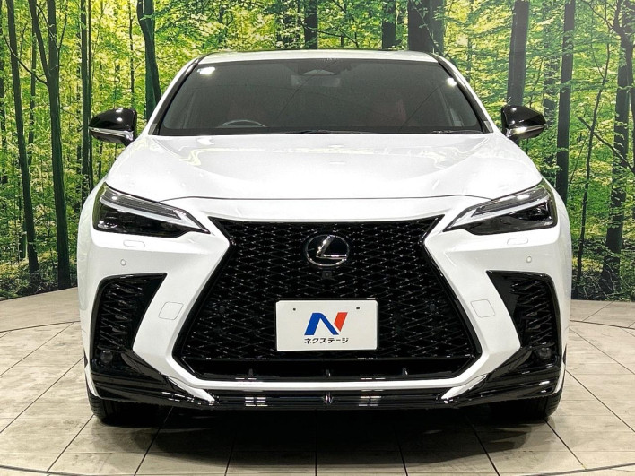 2022 Lexus NX 6AA-AAZH20 (UW-69f80cd32be26)[5]