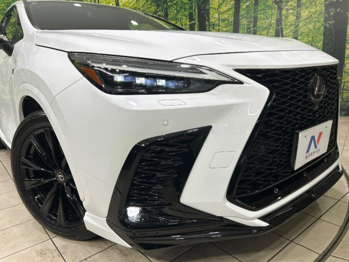 2022 Lexus NX 6AA-AAZH20 (UW-69f80cd32be26)[22]