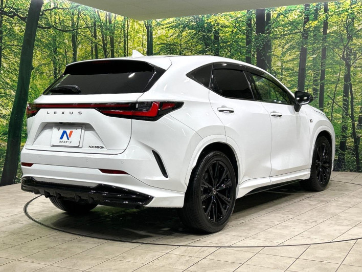 2022 Lexus NX 6AA-AAZH20 (UW-69f80cd32be26)[8]