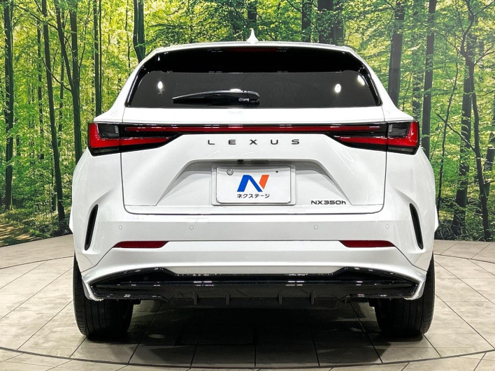 2022 Lexus NX 6AA-AAZH20 (UW-69f80cd32be26)[9]