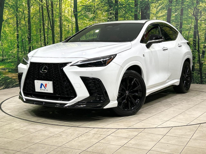 2022 Lexus NX 6AA-AAZH20 (UW-69f80cd32be26)[0]
