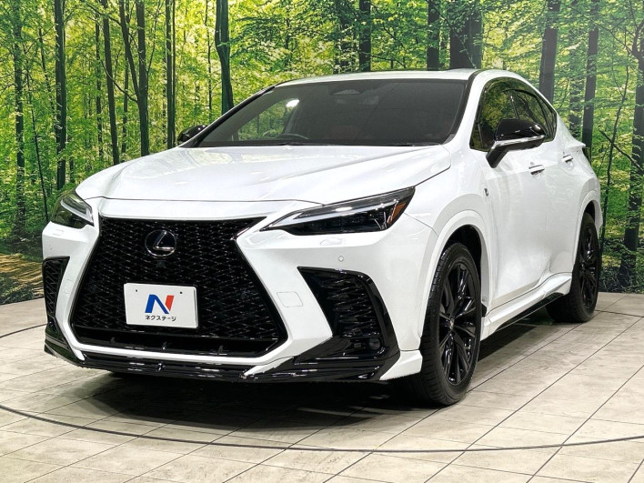 2022 Lexus NX 6AA-AAZH20 (UW-69f80cd32be26)[4]