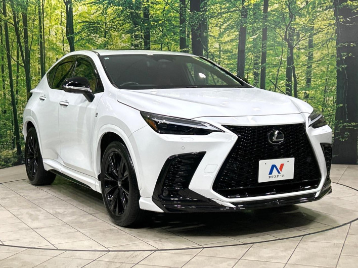 2022 Lexus NX 6AA-AAZH20 (UW-69f80cd32be26)[6]