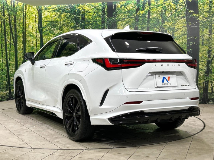 2022 Lexus NX 6AA-AAZH20 (UW-69f80cd32be26)[10]