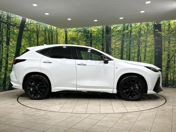 2022 Lexus NX 6AA-AAZH20 (UW-69f80cd32be26)[7]