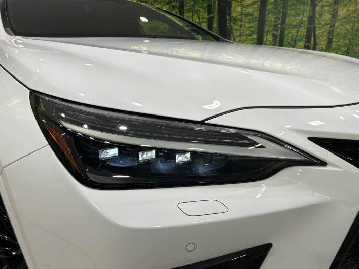 2022 Lexus NX 6AA-AAZH20 (UW-69f80cd32be26)[23]
