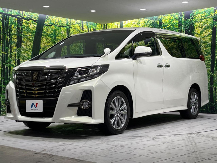 2018 Toyota Alphard DBA-AGH35W (UW-69f80cdab9f0e)[14]