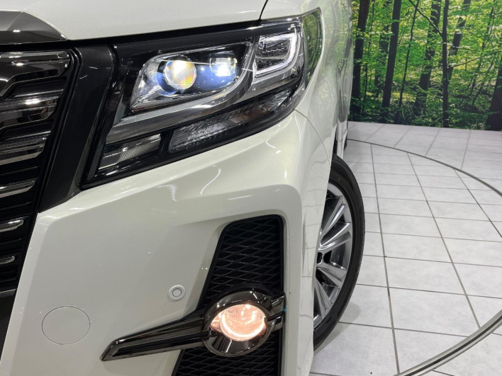 2018 Toyota Alphard DBA-AGH35W (UW-69f80cdab9f0e)[7]