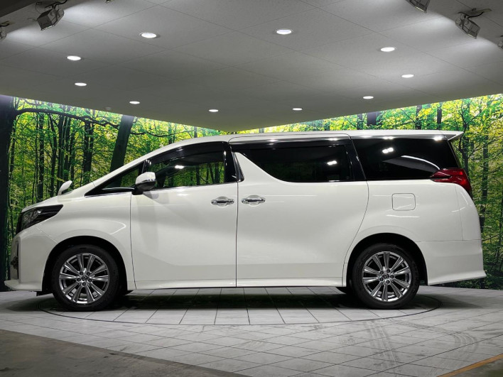 2018 Toyota Alphard DBA-AGH35W (UW-69f80cdab9f0e)[13]