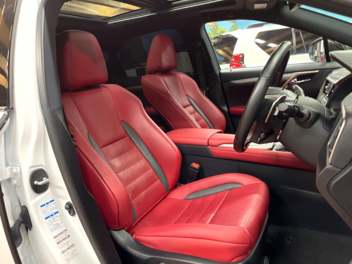 2019 Lexus RX DAA-GYL25W (UW-69f80d2ca0695)[10]
