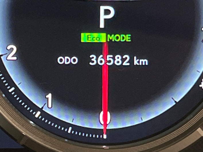 2019 Lexus RX DAA-GYL25W (UW-69f80d2ca0695)[2]