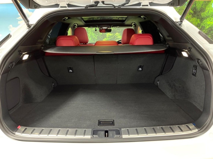 2019 Lexus RX DAA-GYL25W (UW-69f80d2ca0695)[7]