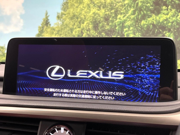 2019 Lexus RX DAA-GYL25W (UW-69f80d2ca0695)[17]