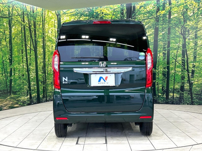 2017 Honda N-BOX DBA-JF3 (UW-69f80d4788aa9)[9]
