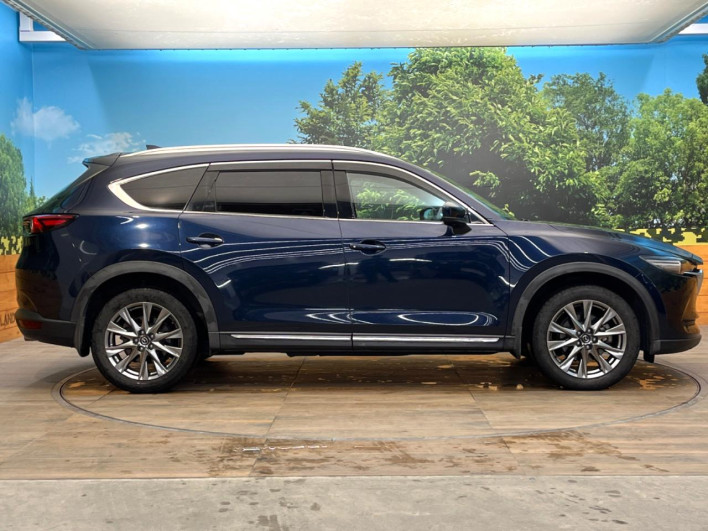 2019 Mazda CX-8 3da-kg2p (UW-69f80d6a41b44)[8]