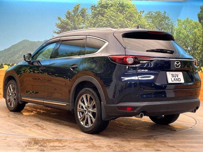 2019 Mazda CX-8 3da-kg2p (UW-69f80d6a41b44)[6]