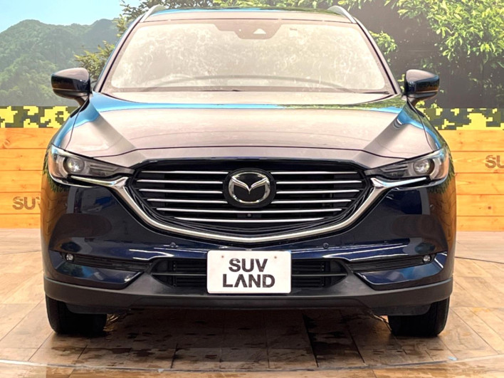 2019 Mazda CX-8 3da-kg2p (UW-69f80d6a41b44)[9]