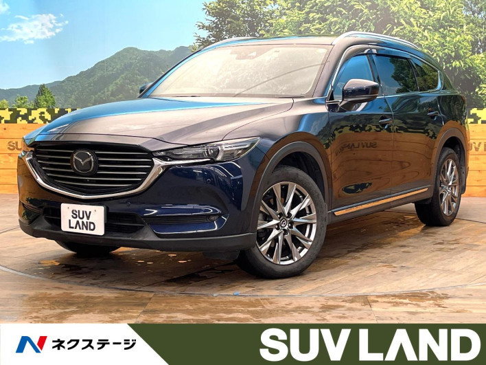 2019 Mazda CX-8 3da-kg2p (UW-69f80d6a41b44)[3]