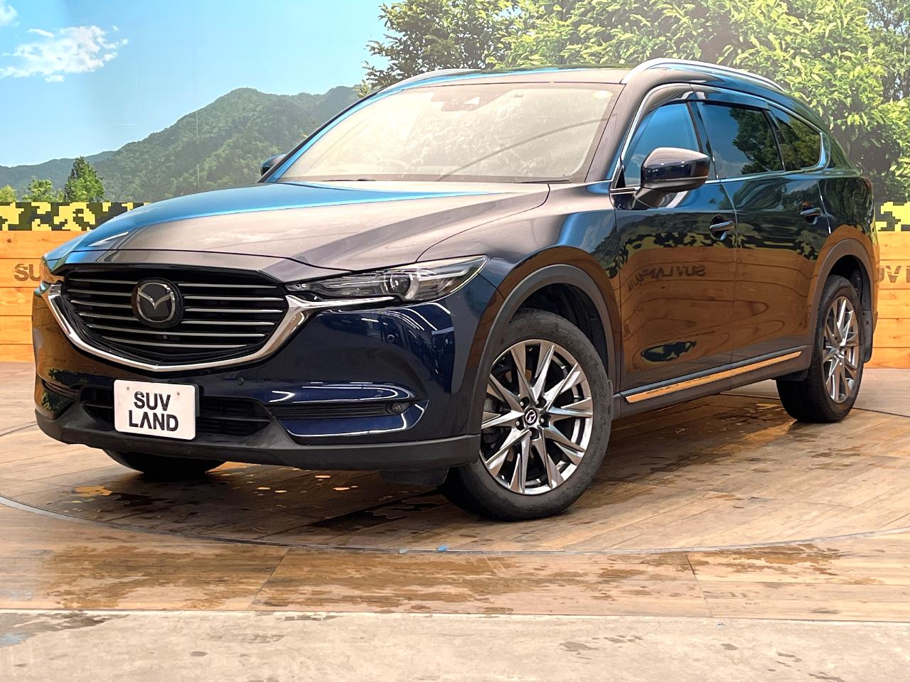 2019 Mazda CX-8 3da-kg2p