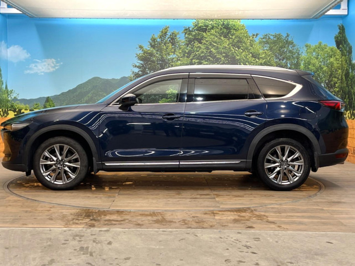 2019 Mazda CX-8 3da-kg2p (UW-69f80d6a41b44)[7]