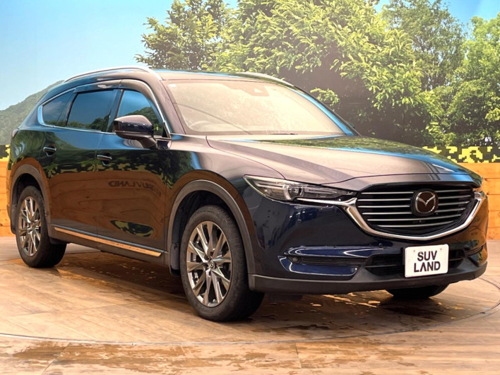 2019 Mazda CX-8 3da-kg2p (UW-69f80d6a41b44)[10]