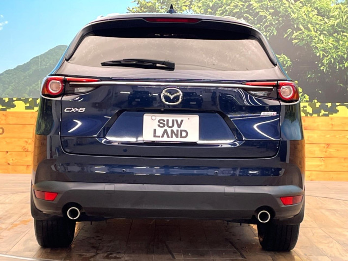 2019 Mazda CX-8 3da-kg2p (UW-69f80d6a41b44)[4]