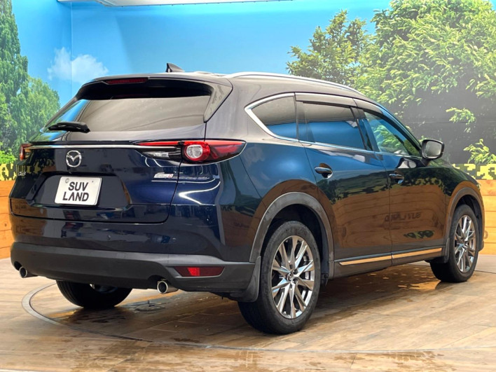 2019 Mazda CX-8 3da-kg2p (UW-69f80d6a41b44)[5]