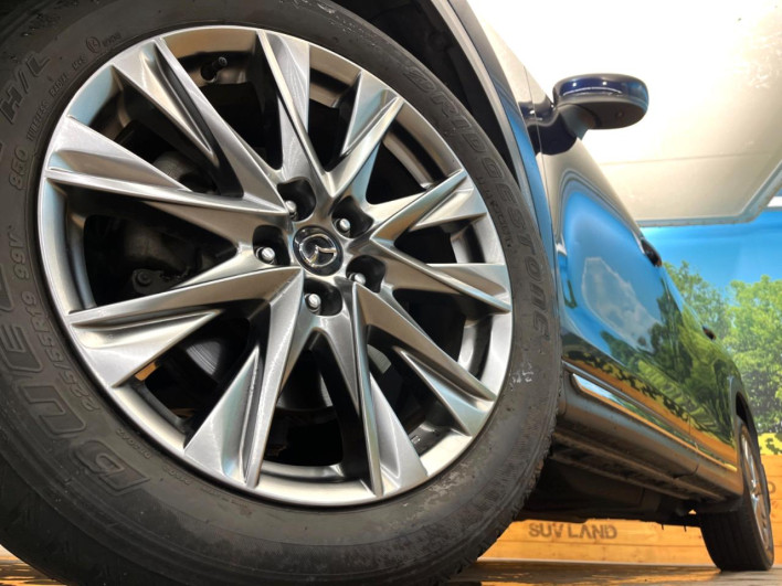 2019 Mazda CX-8 3da-kg2p (UW-69f80d6a41b44)[22]