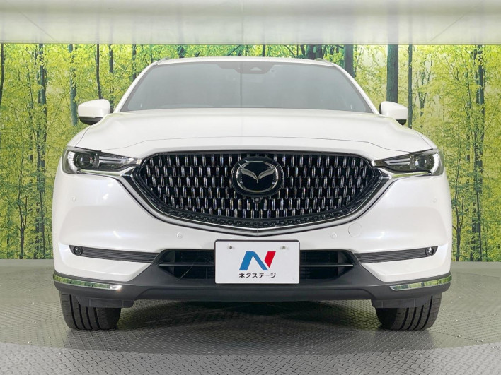 2021 Mazda CX-8 3da-kg2p (UW-69f80d6aa6c83)[19]