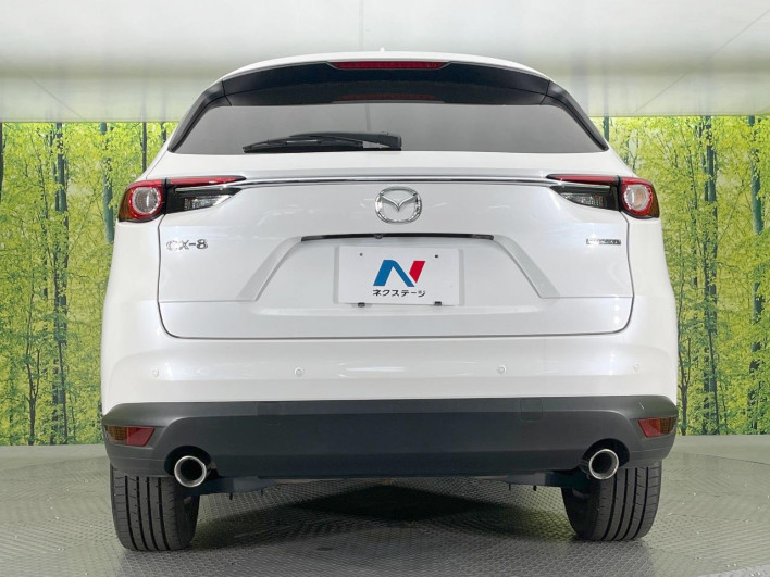 2021 Mazda CX-8 3da-kg2p (UW-69f80d6aa6c83)[23]