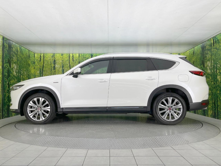 2021 Mazda CX-8 3da-kg2p (UW-69f80d6aa6c83)[25]