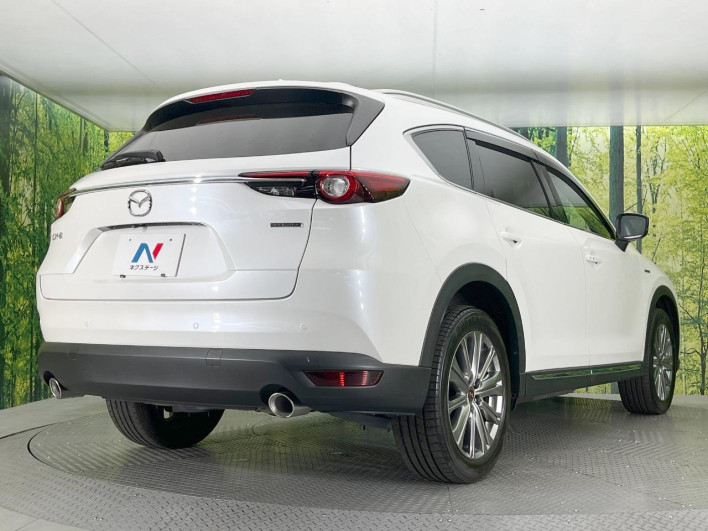 2021 Mazda CX-8 3da-kg2p (UW-69f80d6aa6c83)[22]
