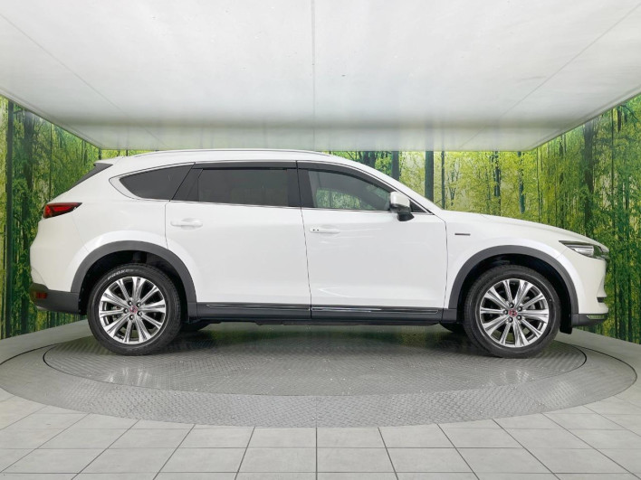 2021 Mazda CX-8 3da-kg2p (UW-69f80d6aa6c83)[21]