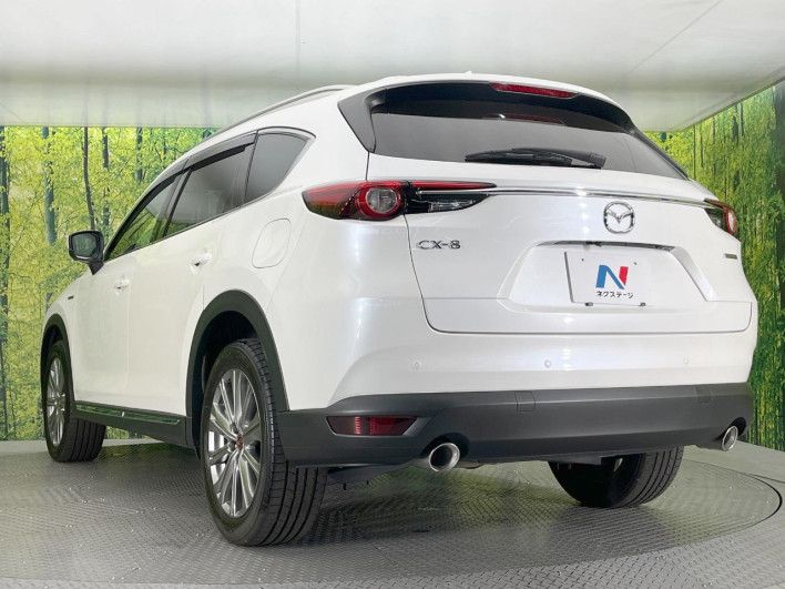 2021 Mazda CX-8 3da-kg2p (UW-69f80d6aa6c83)[24]