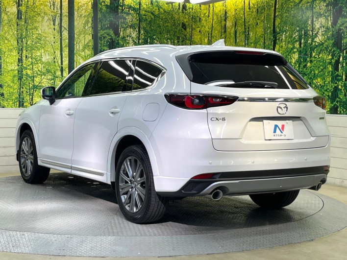 2023 Mazda CX-8 3da-kg2p (UW-69f80d6c8efd0)[25]