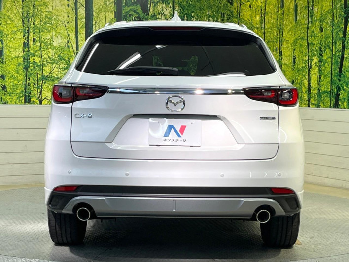2023 Mazda CX-8 3da-kg2p (UW-69f80d6c8efd0)[24]