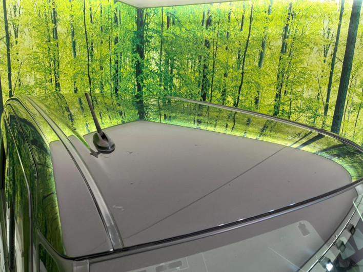 2019 Toyota Roomy DBA-M900A (UW-69f80d8a8c8e0)[14]