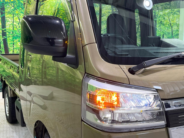 2024 Daihatsu Hiace Truck 3BD-S510P (UW-69f80df0d3dd9)[14]