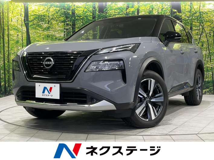 2023 Nissan X-Trail 6AA-SNT33 (UW-69f80df93f278)[3]